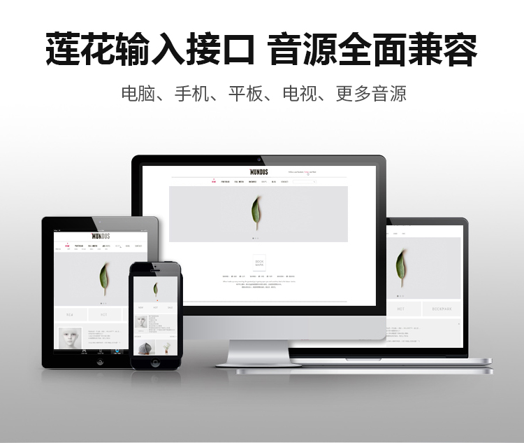 2.4G無(wú)線教學(xué)音箱系列